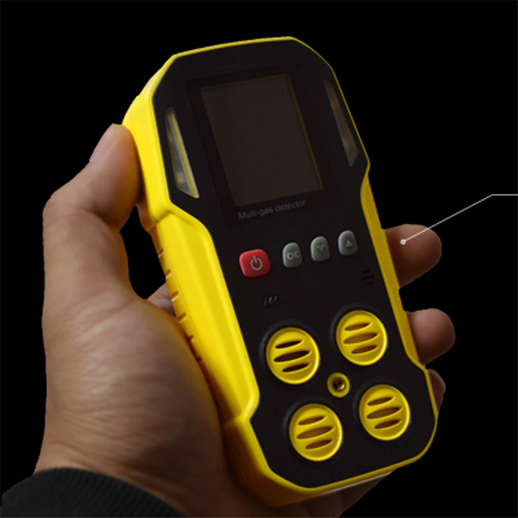 Multi Gas Detector (2)