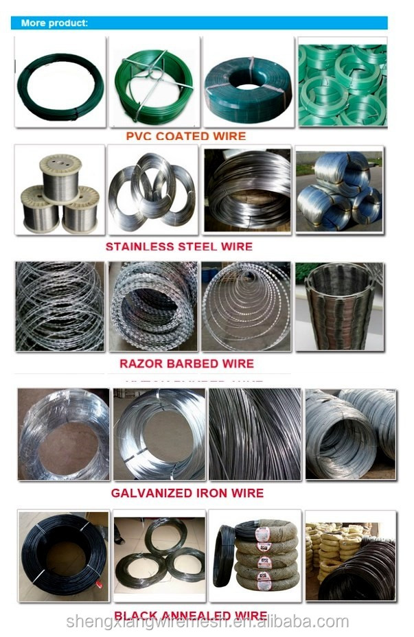 Wire Nails Common Iron Electro Galvanized Polished or Galvanized Steel Building Material Building Construction BWG4-BWG16 CN;HEB