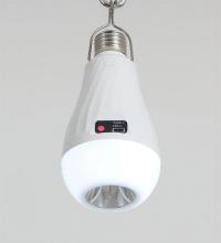 NEW Portable LED working light emergency torch light