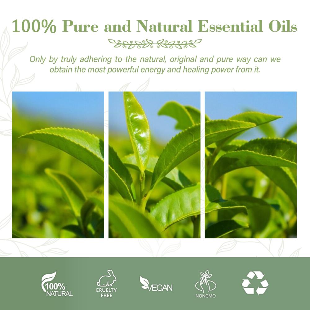 Bulk Supply 100% Pure Green Tea Oil For Best Grade Diffuser