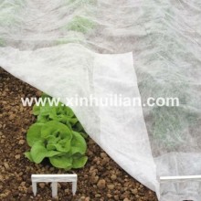 Agricultural Nonwoven Cover 100% pp Anti UV, Crop Protection Bag, Crop Cover, Banana Cover