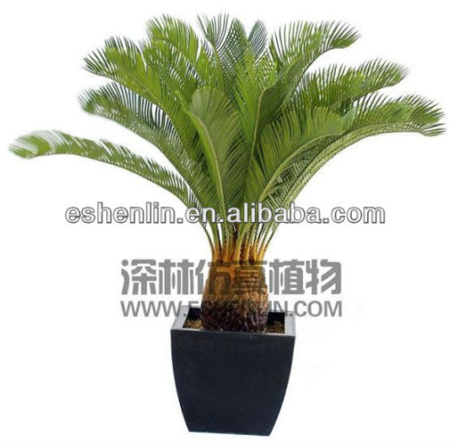 2017 new artificial bonsai plant,cycas revoluta plant for sale