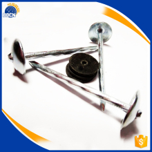 umbrella head roofing nails