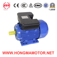 Ml (YL) Single Series/Ml Series Single-Phase Dyadic Capacitance Induction Motors