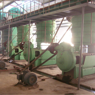 Screw Oil Pressing Machine for Peanut Oil