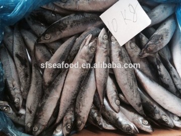 BQF fish wholesale mackeral