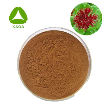 Rhodiola Rosea -Extrakt Rosavin 3% Salidrosid 1% Pulver