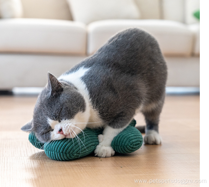 Interactive Cactus Shape Cat Toy with Catnip Inside