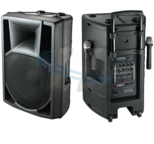 Professional Trolley Recharged Amplifier with Custom OEM Speakers