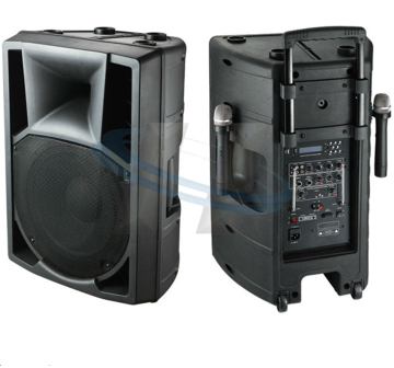 Professional Trolley Recharged Amplifier with Custom OEM Speakers