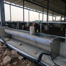 Dairy Cow Drinking Trough: Farming Equipment for Sale