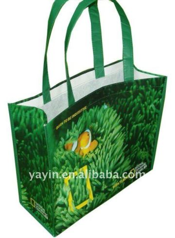 Reusable recycled PET laminated shopping bag