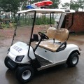 2-х местные мини-полицейские электрические тележки для гольфа