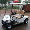 Mini carrelli da golf elettrici della polizia a 2 posti