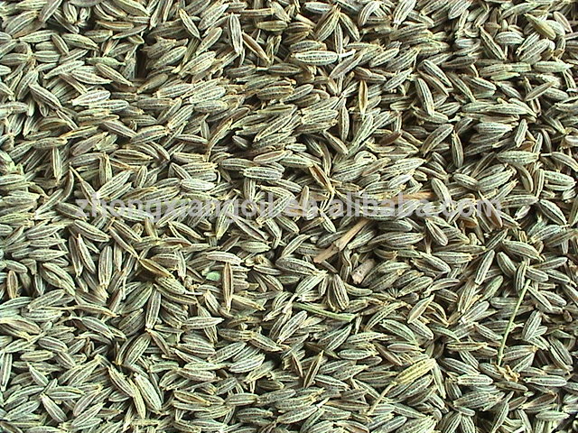 Organic Black Cumin Seed Oil at Wholesale Price