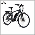 EBIKECOMPANYホールセール36V250W / 350Wマウンテンスタイルのカスタマイズされた電動自転車