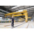 indoor gantry crane 100T