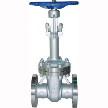 DN25-DN300 Low temperature gate valve