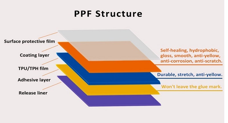 Ppf Structure