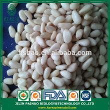 Wholesale Artificial Selection Cedar Pine Nut Kernels in Bulk