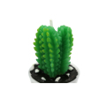 Vela parpadeante Vela de cactus para decoración