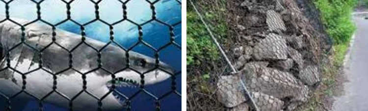 Pet Agriculture Fish Farm Netting Hexagonal Wire Mesh Econet