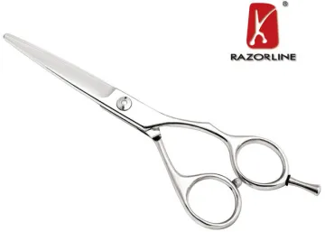 Professional  Sus420j2 + Stainless Steel Hair Salon Haircut Scissors Hairdressing Scissor