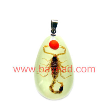 Real Insect Inside Amber  Necklace Jewellery , So Eye-catching