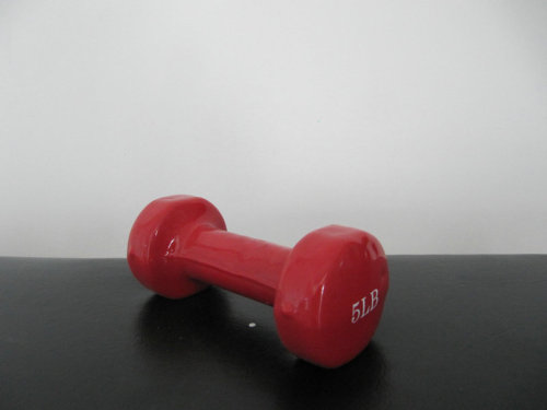 round end vinyl dipping dumbbells