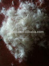 Fresh washed 50/50 duck down wholesale