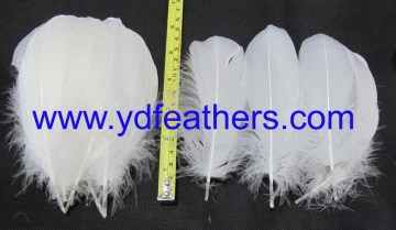 goose feather