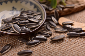 Good Quality Sunflower Seeds Cheap Sunflower Seeds