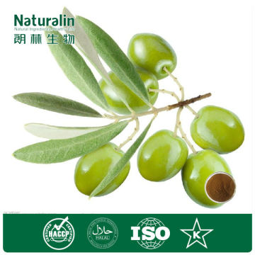 Factory Supply Olive Leaf Powder Hydroxytyrosol