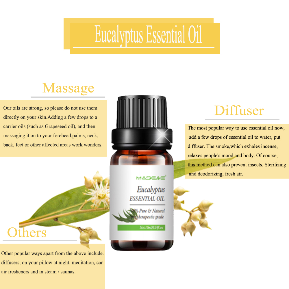 Air Eucalyptus Essential Essential Minyak Perawatan Kulit Pijat