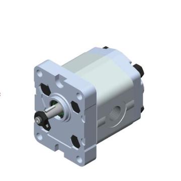 bridge machine External Gear Pumps