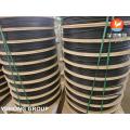 ASTM304/316/316L/317/321/347 Stainless Steel Multi Core Tube