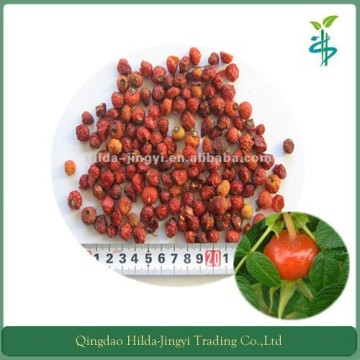 Pure Rose Hip Extract Vitamin C