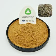 Extrait d&#39;écorce de saule blanc en poudre de salicine naturel bio naturel