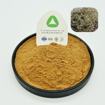 White Willow Bark Extract Salicin Powder Natural Organic