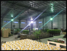 Curving Stem Artificial Fern Tree