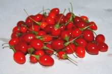 Health Benefits Medlar Goji Berry Lycii Barbary Wolfberry