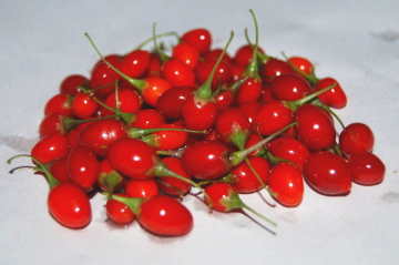 Health Benefits Medlar Goji Berry Lycii Barbary Wolfberry