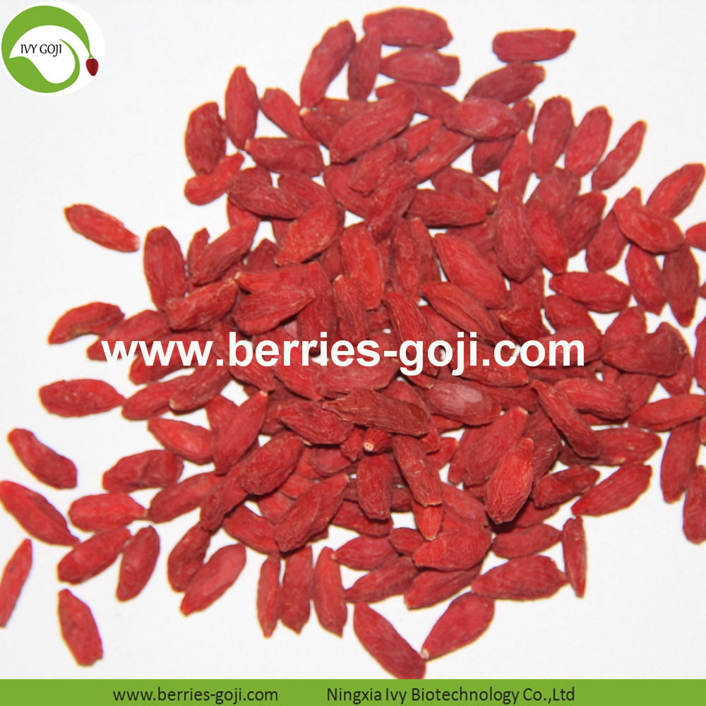 Goji berry 