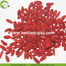 Factory Supply En Grade Sun Torkad Goji Berry