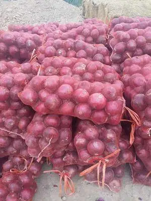 2020 New Crop Fresh Red Onion Wholesale Price From China