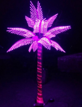 Search Solar Lit Palm Trees