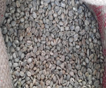 100% arabica raw green coffee beans