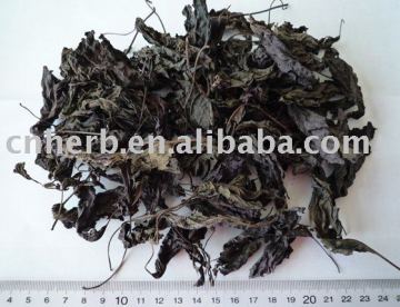 dry perilla leaf with low pesticide residue