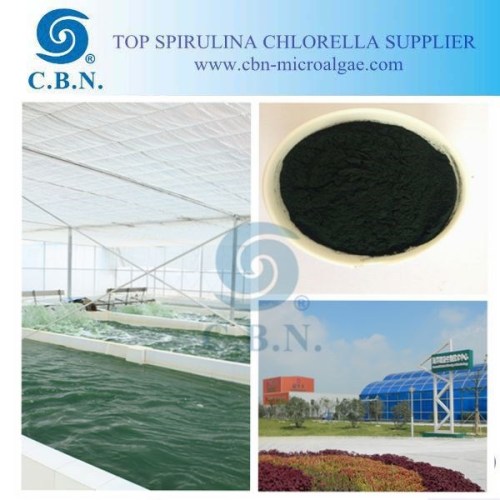 Best organic spirulina wholesale