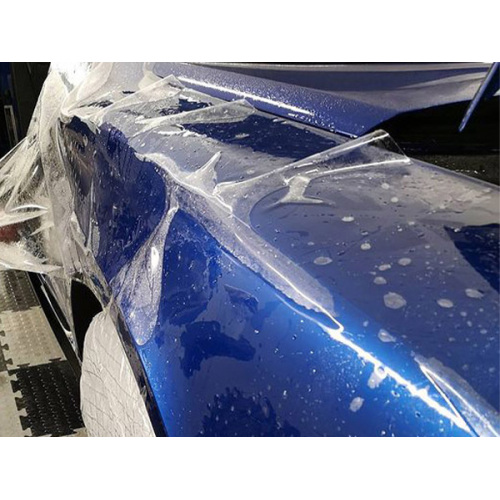 Custom Cut Pintura Protection Film